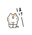 シンプルゆるねこ（個別スタンプ：15）