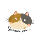 何食わぬ顔で代弁してくれる猫（個別スタンプ：6）