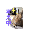 うさぎのモカちゃんスタンプpart7（個別スタンプ：9）