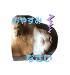 うさぎのモカちゃんスタンプpart7（個別スタンプ：14）