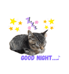 おんぷくーん♪（個別スタンプ：3）