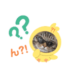 おんぷくーん♪（個別スタンプ：9）