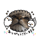 おんぷくーん♪（個別スタンプ：13）