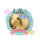 うさりおスタンプ3（個別スタンプ：9）