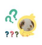 うさりおスタンプ3（個別スタンプ：12）