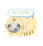 うさりおスタンプ3（個別スタンプ：25）