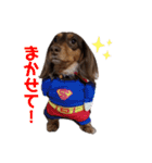 愛犬とあちゃん♫①（個別スタンプ：5）