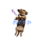 愛犬とあちゃん♫①（個別スタンプ：7）