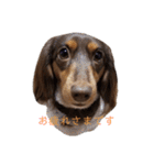 愛犬とあちゃん♫①（個別スタンプ：11）
