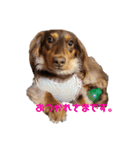 愛犬とあちゃん♫①（個別スタンプ：18）
