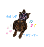 愛犬とあちゃん♫①（個別スタンプ：20）