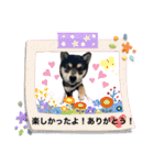 うちのきなこと時々ちっぷ（個別スタンプ：7）