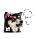 うちのきなこと時々ちっぷ（個別スタンプ：9）