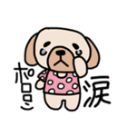 Tシャツわんちゃん（個別スタンプ：10）