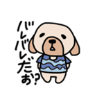 Tシャツわんちゃん（個別スタンプ：16）