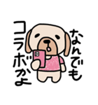 Tシャツわんちゃん（個別スタンプ：17）