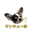 でんすけすたんぷ2（個別スタンプ：3）