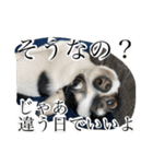 でんすけすたんぷ2（個別スタンプ：27）