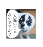 でんすけすたんぷ2（個別スタンプ：30）