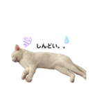可愛いおりく2（個別スタンプ：7）