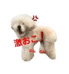 陽気な3プー☆no2（個別スタンプ：12）