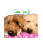 陽気な3プー☆no2（個別スタンプ：15）