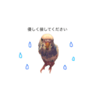セキセイインコのちぃーちゃんです（個別スタンプ：8）