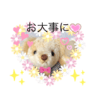 ハンドメイドベアちゃん優しい気持ち（個別スタンプ：3）