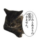 猫野家すたんぷ【言い訳編】（個別スタンプ：8）