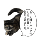 猫野家すたんぷ【言い訳編】（個別スタンプ：13）