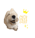 マルックスのバロンくん（個別スタンプ：2）