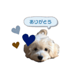 マルックスのバロンくん（個別スタンプ：4）