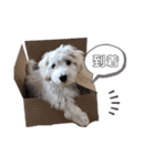 マルックスのバロンくん（個別スタンプ：15）