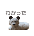 マルックスのバロンくん（個別スタンプ：32）