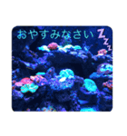 あいさつ日常使える（個別スタンプ：1）
