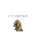 ネコだって1言（個別スタンプ：7）