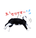 ネコだって1言（個別スタンプ：14）
