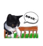 ネコだって1言（個別スタンプ：18）
