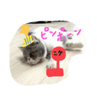 ニケにゃん基本のスタンプ たまにモフ（個別スタンプ：16）