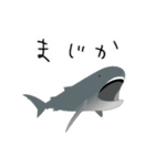 うみのいきもの いろいろ 2（個別スタンプ：1）
