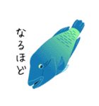 うみのいきもの いろいろ 2（個別スタンプ：5）