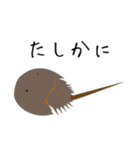 うみのいきもの いろいろ 2（個別スタンプ：6）