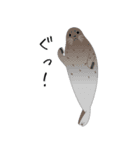 うみのいきもの いろいろ 2（個別スタンプ：17）