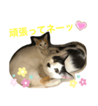 トラチワちゃん♪♡（個別スタンプ：4）