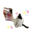 トラチワちゃん♪♡（個別スタンプ：8）