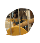 ここちゃんのノーマルスタンプ（個別スタンプ：10）