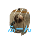ここちゃんのノーマルスタンプ（個別スタンプ：12）
