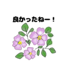 Flower  stamp1（個別スタンプ：14）