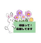 Flower  stamp1（個別スタンプ：16）