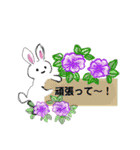 Flower  stamp1（個別スタンプ：18）